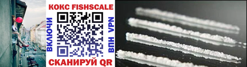 дарнет шоп  Вытегра  Cocaine Fish Scale 