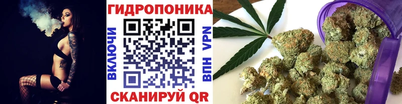 даркнет Telegram  Вытегра  Бошки марихуана OG Kush  купить  цена 